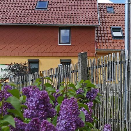 Hainich-Zeit Rodeberg Dış mekan fotoğraf