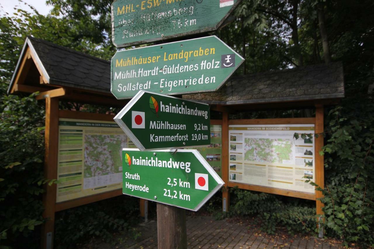 Hainich-Zeit Rodeberg Dış mekan fotoğraf