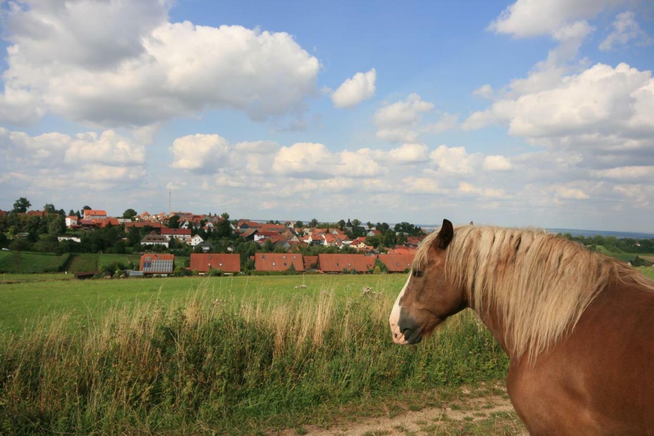 Hainich-Zeit Rodeberg Dış mekan fotoğraf